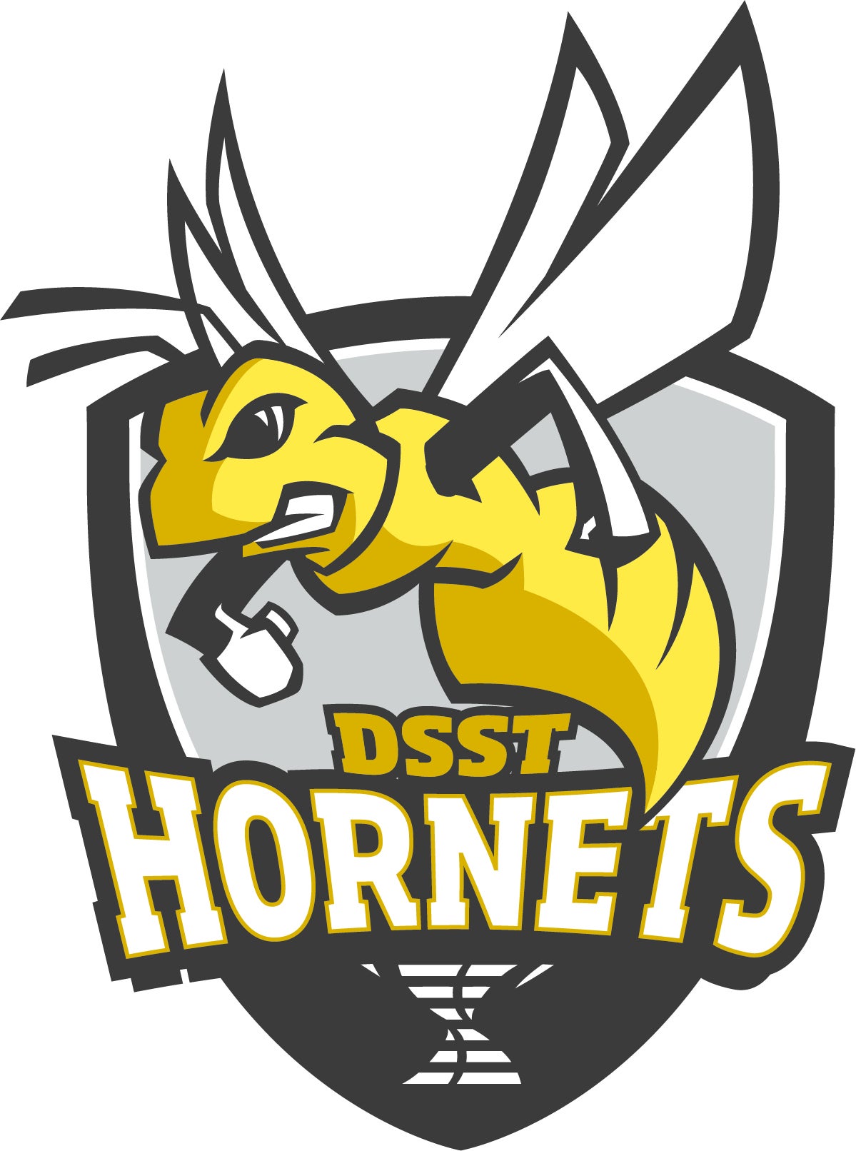 Home | DSST Conservatory Green HS